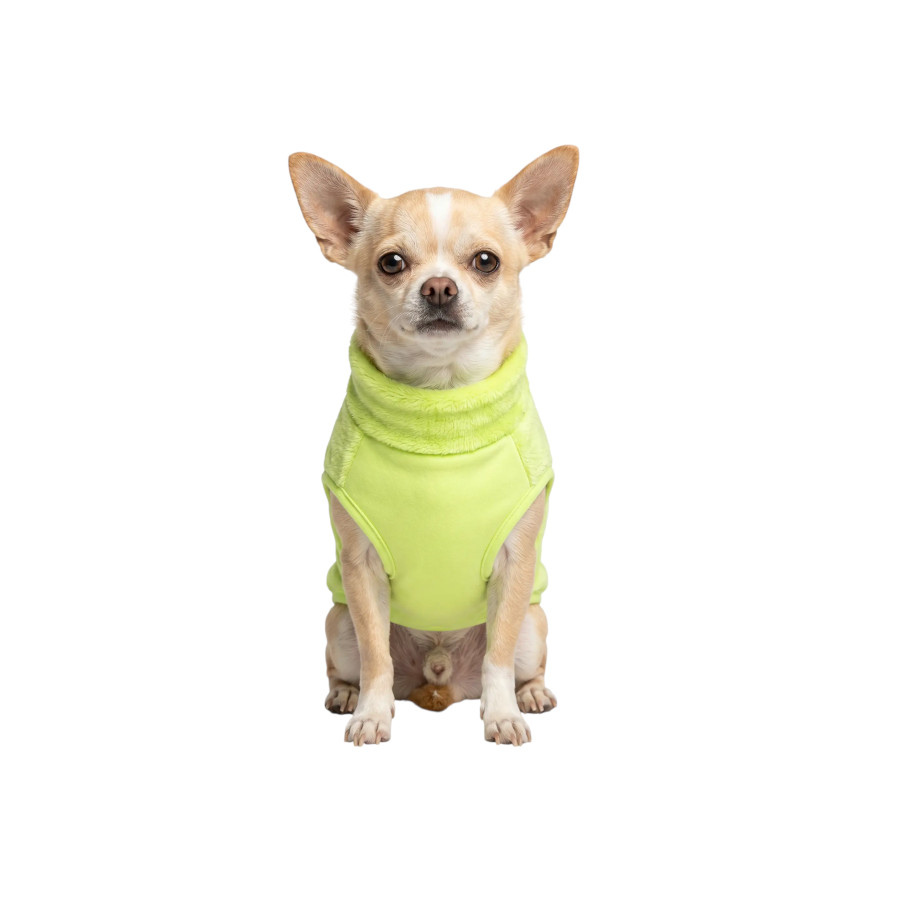 Gotoo Camisola Polar Verde-Lima para c&atilde;es, , large Imagem n&uacute;mero 7