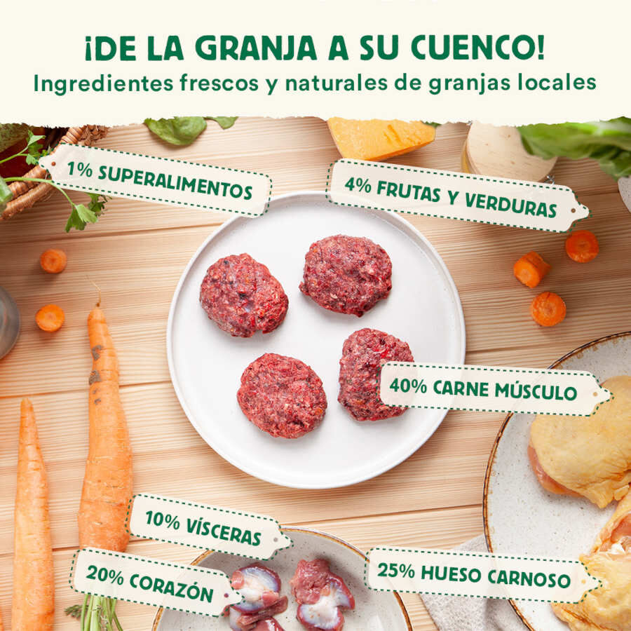 1 kg Wild Balance BARF Salm&atilde;o Peru e Legumes alimenta&ccedil;&atilde;o natural congelada para gatos, , large Imagem n&uacute;mero 3