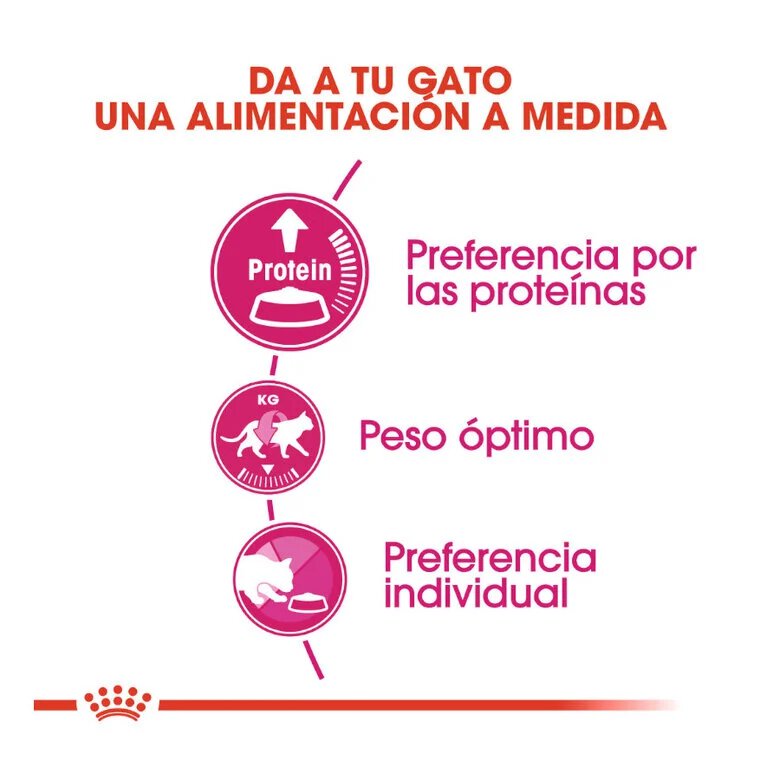 2 kg Royal Canin Adult Exigent Protein ração para gatos,  Imagem número 4 2 kg Royal Canin Adult Exigent Protein ração para gatos, , large Imagem número 4