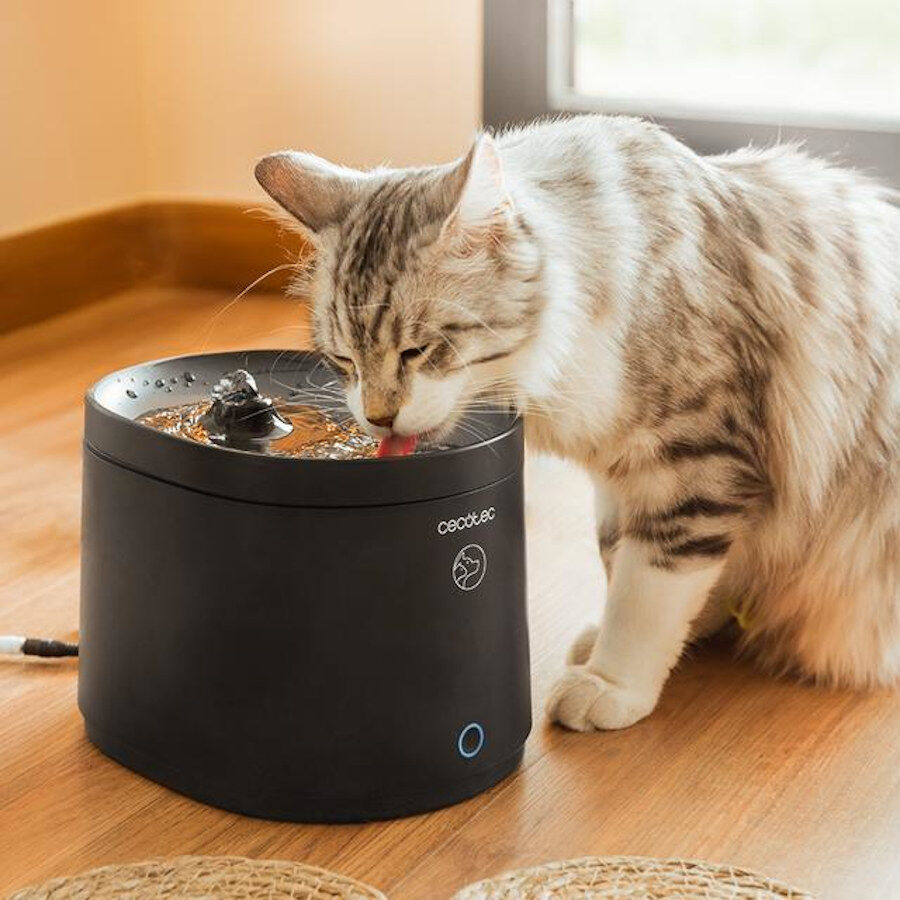 Cecotec Pumba 2500 Refresh Smart Bebedouro para gatos, , large Imagem n&uacute;mero 6