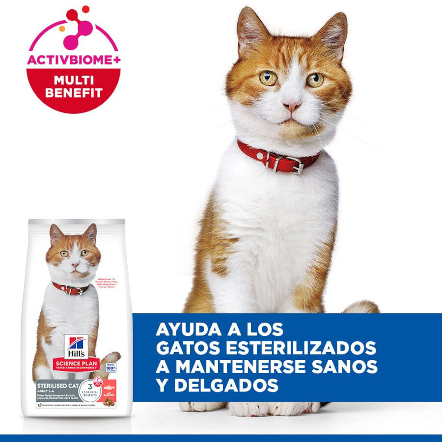 10 kg Ra&ccedil;&atilde;o Hill's Science Plan Sterilised Adult Ra&ccedil;&atilde;o de salm&atilde;o para gatos, , large Imagem n&uacute;mero 4