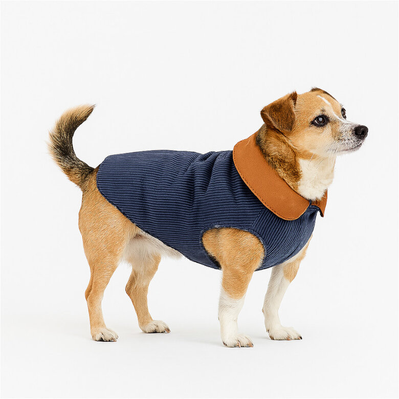 Outech Casaco Estilo Aviador Rosa e Azul para cães,  Imagem número 3 Outech Casaco Estilo Aviador Rosa e Azul para cães, , large Imagem número 3