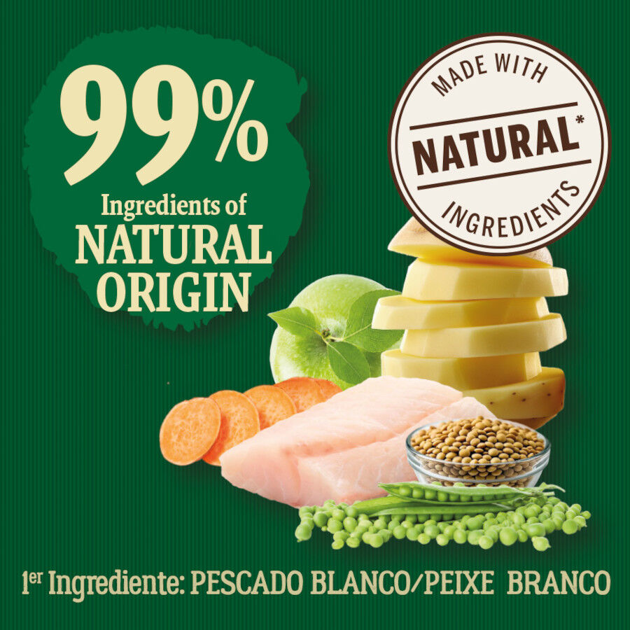 True Origins Wild Golden Coast ra&ccedil;&atilde;o de peixe branco para c&atilde;es, , large Imagem n&uacute;mero 3