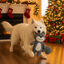 Wonder Christmas Peluche Esquilo de Natal para Cães, , large Indicador imagem número 3