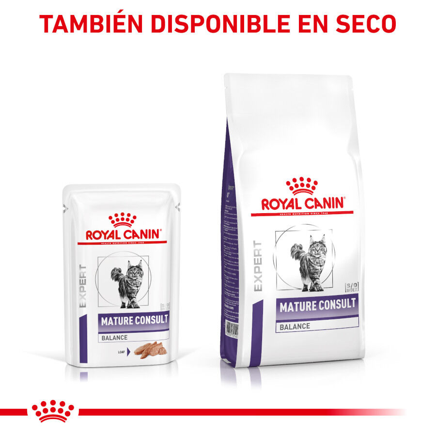 12 saquetas x 85 g Royal Canin Mature Consult Balance Pat&eacute; saqueta para gatos, , large Imagem n&uacute;mero 7