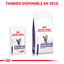 12 sobres x 85 g Royal Canin Mature Consult Balance Paté saqueta para gatos, , large Indicador imagem número 7
