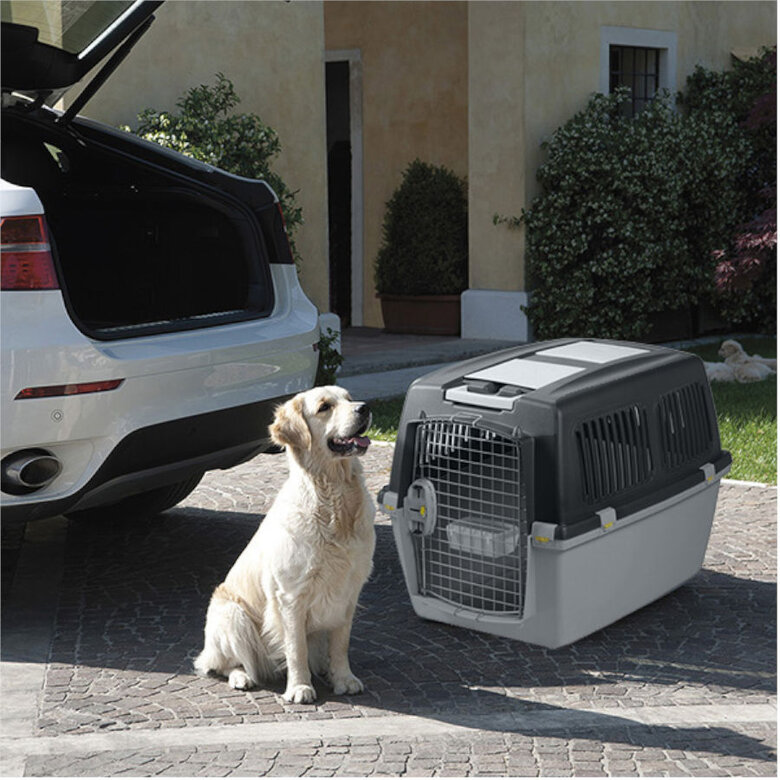 Gulliver 5 IATA Transportador para cães,  Imagem número 3 Gulliver 5 IATA Transportador para cães, , large Imagem número 3