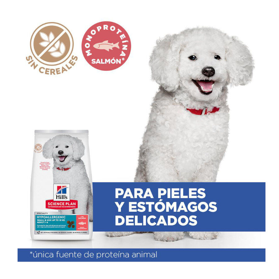Hill's Science Plan Hipoalerg&eacute;nico Small e Mini Salm&atilde;o ra&ccedil;&atilde;o para c&atilde;es , , large Imagem n&uacute;mero 3
