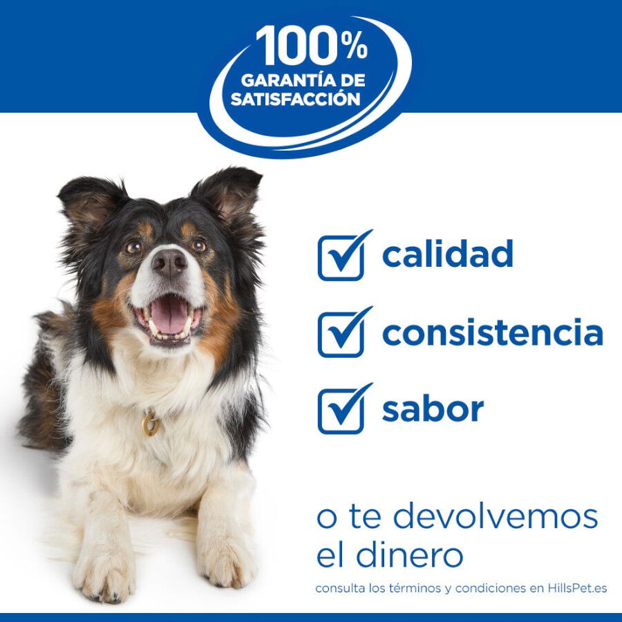 363 g  Hill's Science Plan Puppy Estufado com frango e legumes Lata para c&atilde;es, , large Imagem n&uacute;mero 7