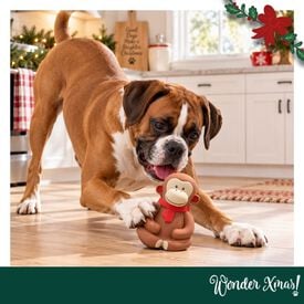 Wonder Christmas Macaco L&aacute;tex Brinquedo para c&atilde;es