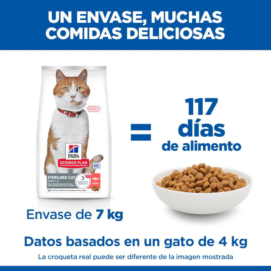 10 kg Ra&ccedil;&atilde;o Hill's Science Plan Sterilised Adult Ra&ccedil;&atilde;o de salm&atilde;o para gatos, , large Imagem n&uacute;mero 6