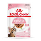 Royal Canin Kitten Sterilised Saquetas em molho para gatinhos, , large image number null