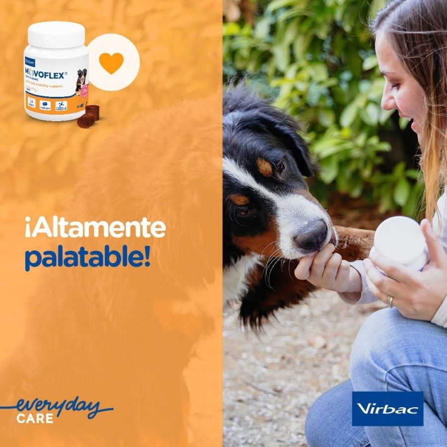Virbac Movoflex Condroprotetor para c&atilde;es de porte m&eacute;dio, , large Imagem n&uacute;mero 10