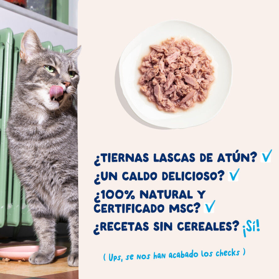 70 g Edgard & Cooper Alimento h&uacute;mido de atum em lata para gatos, , large Imagem n&uacute;mero 4