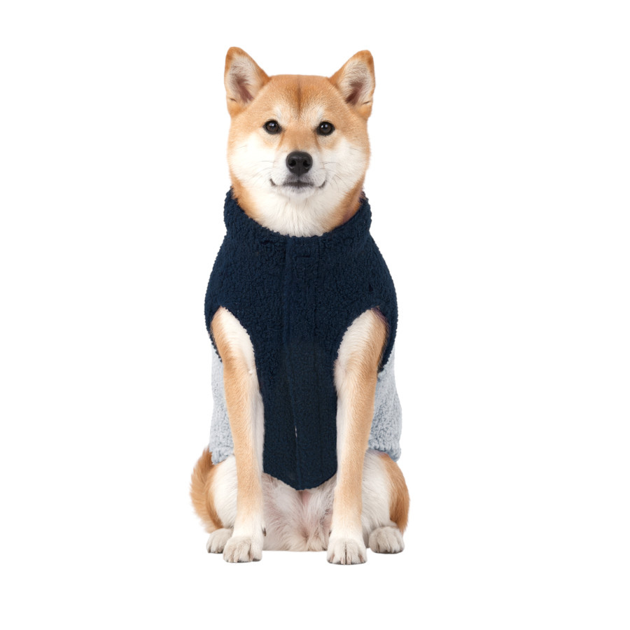 Gotoo Casaco Azul e Cinzento para c&atilde;es, , large Imagem n&uacute;mero 7