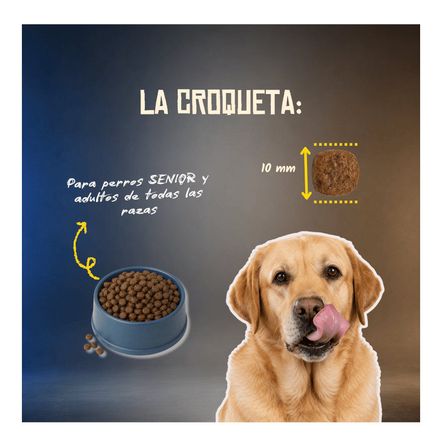 10 kg Lenda Grain Free Light Senior Ra&ccedil;&atilde;o para c&atilde;es, , large Imagem n&uacute;mero 6