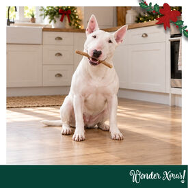 Wonder Christmas Palitos de Colag&eacute;nio com Peru Snacks para C&atilde;es