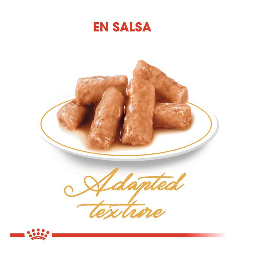 85 g Royal Canin comida h&uacute;mida British Shorthair Adult, , large Imagem n&uacute;mero 4