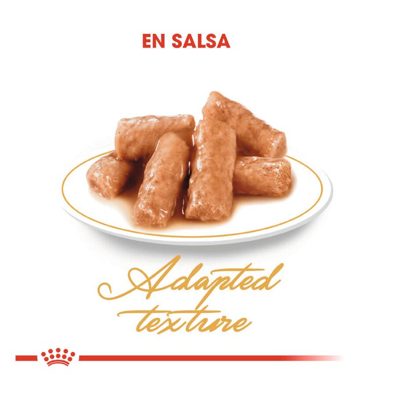 85 g Royal Canin comida húmida British Shorthair Adult,  Imagem número 4 85 g Royal Canin comida húmida British Shorthair Adult, , large Imagem número 4