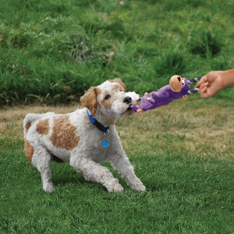 Kong Tugger Knots Sapo com Cordas de peluche para cães,  Imagem número 2 Kong Tugger Knots Sapo com Cordas de peluche para cães, , large Imagem número 2