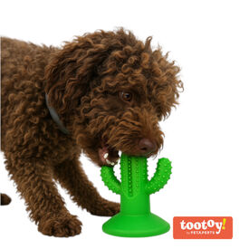 Tootoy! Chew Dental Hygiene Cactus Mordedor para cães
