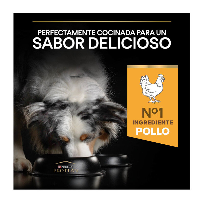 16.5 kg (14 + 2.5 kg grátis!) Pro Plan Adult Light/Sterilised Frango ração para cães,  Imagem número 7 16.5 kg (14 + 2.5 kg grátis!) Pro Plan Adult Light/Sterilised Frango ração para cães, , large Imagem número 7