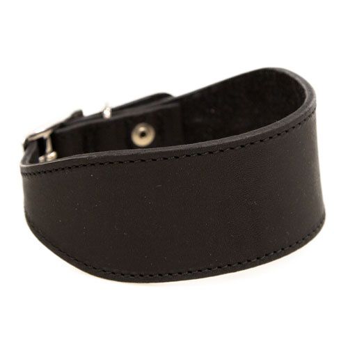 TK-Pet Namur negro collar de cuero para galgos Imagem n&uacute;mero 1