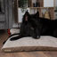 Scruffs Chateau Colchão Ortopédico Latte para cães, , large Indicador imagem número 3