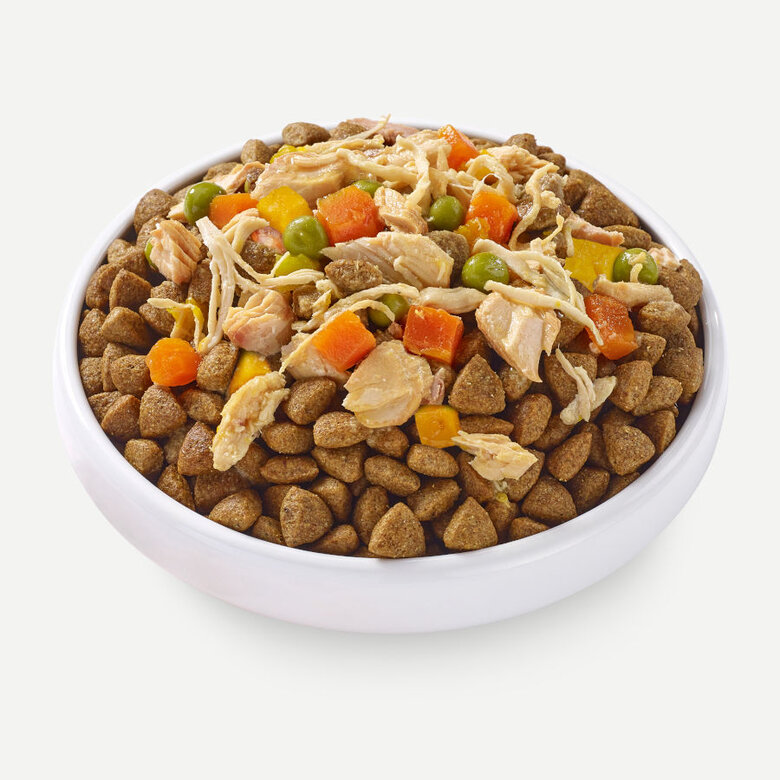 156 g Applaws Taste Toppers Frango com Salmão e Legumes em Molho lata para cães,  Imagem número 2 156 g Applaws Taste Toppers Frango com Salmão e Legumes em Molho lata para cães, , large Imagem número 2