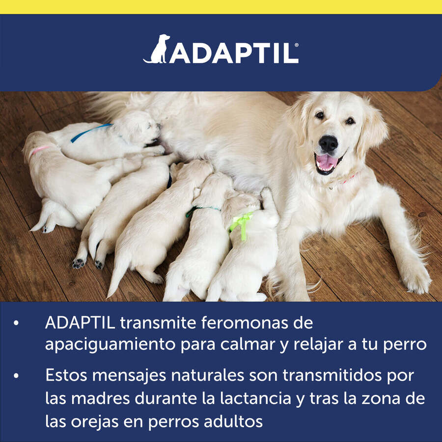 Adaptil Transport Spray Tranquilizante de Viagem para C&atilde;es, , large Imagem n&uacute;mero 9