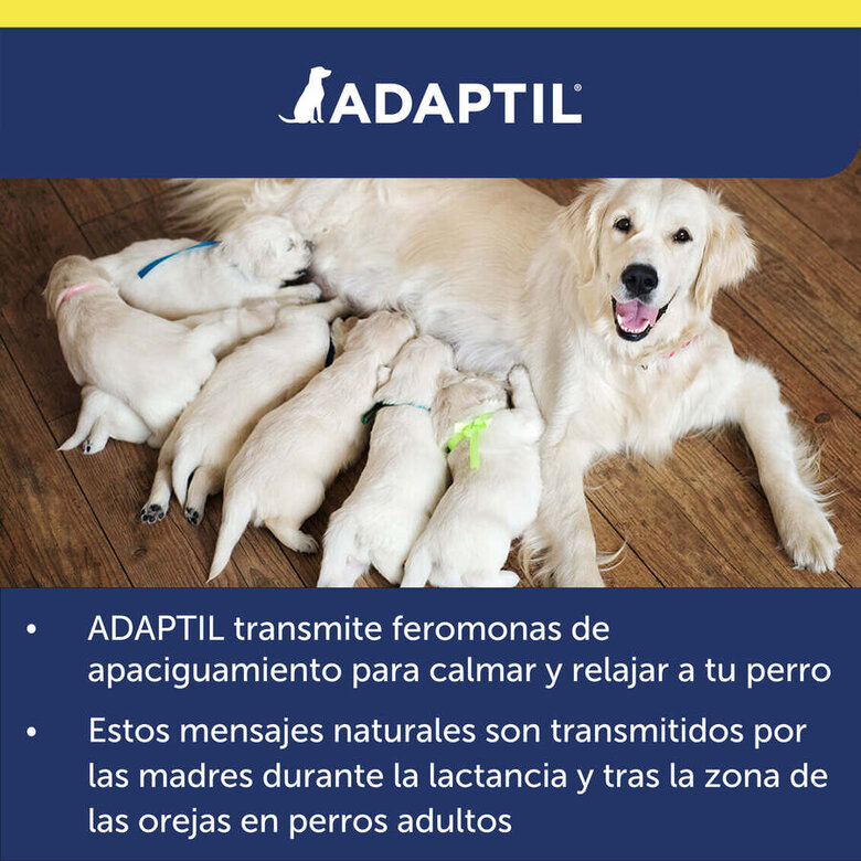Adaptil Transport Spray Tranquilizante de Viagem para Cães,  Imagem número 9 Adaptil Transport Spray Tranquilizante de Viagem para Cães, , large Imagem número 9