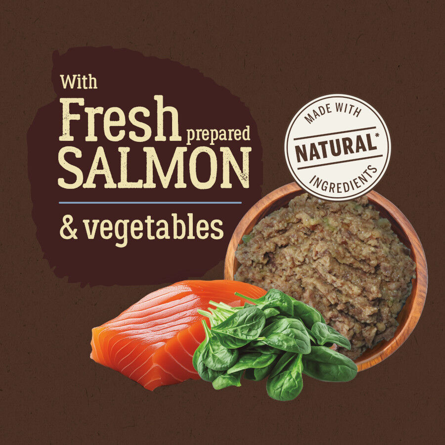 400 g True Origins Pure com Salm&atilde;o lata para cachorros, , large Imagem n&uacute;mero 3