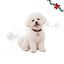 Wonder Christmas Pendente para coleira em forma de pinguim para c&atilde;es, , large Indicador imagem n&uacute;mero 1