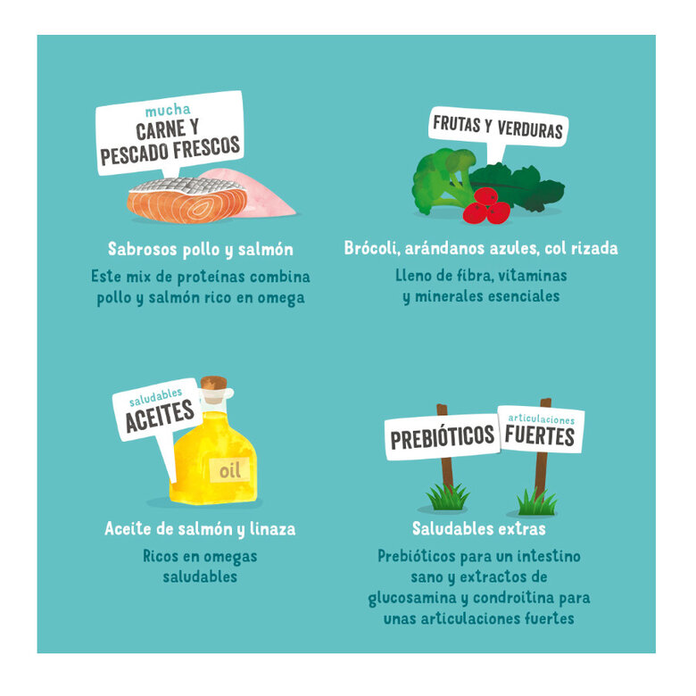 400 g Lata Edgard y Cooper Senior Frango e Salmão lata para cães,  Imagem número 4 400 g Lata Edgard y Cooper Senior Frango e Salmão lata para cães, , large Imagem número 4