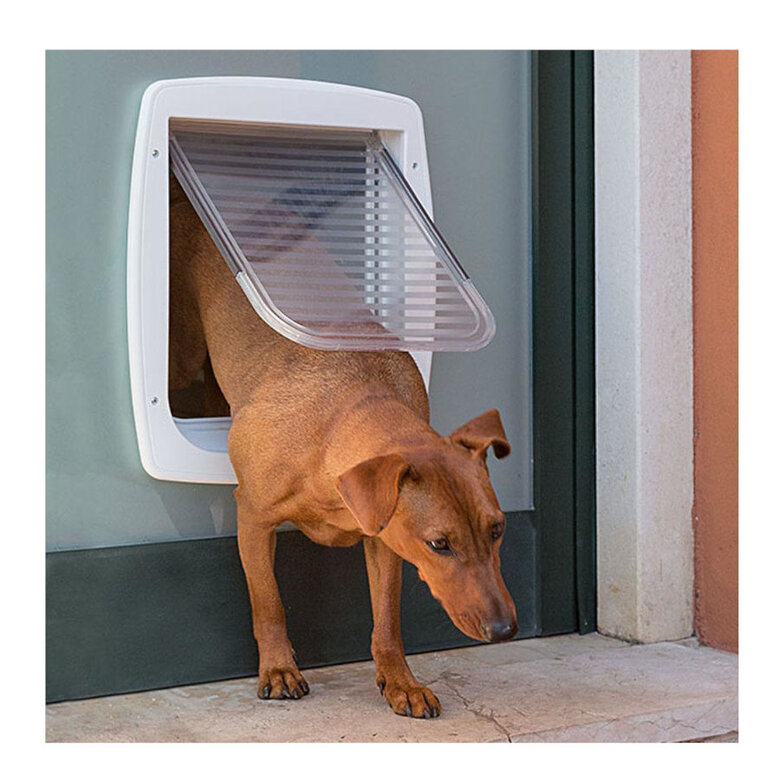 Ferplast Swing 11 porta túnel para cães e gatos,  Imagem número 3 Ferplast Swing 11 porta túnel para cães e gatos, , large Imagem número 3