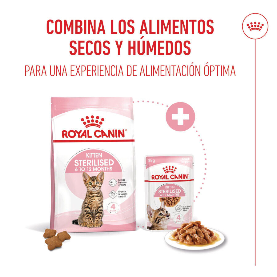 400 g Royal Canin Kitten Sterilised ra&ccedil;&atilde;o para gatos , , large Imagem n&uacute;mero 6