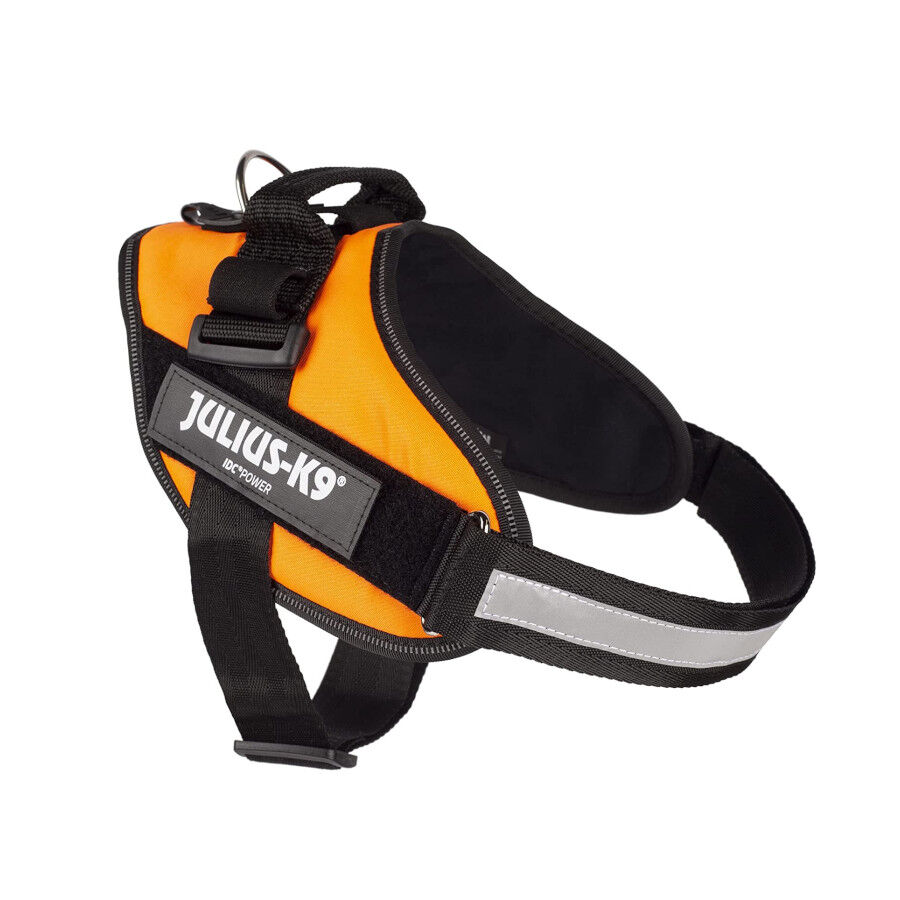 Julius K9 arn&ecirc;s laranja neon para c&atilde;es, , large Imagem n&uacute;mero 1