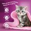 4 saquetas x 85 g Whiskas Casserole Aves Geleia em Saqueta para Gatos Júnior, , large Indicador imagem número 5