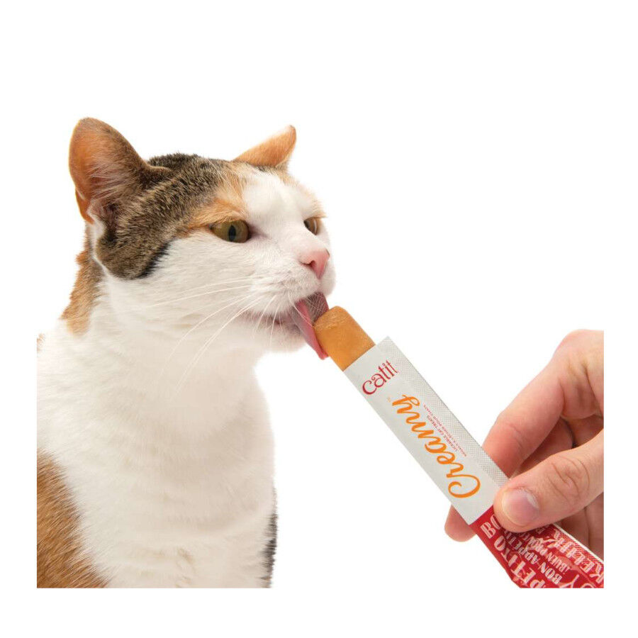 4 saquetas x 10 g Catit Creamy Snack L&iacute;quido de Atum para Gatos, , large Imagem n&uacute;mero 6