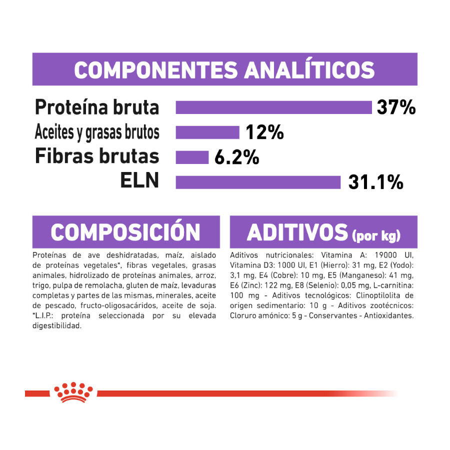 10 kg Royal Canin Regular Sterilised 37 ra&ccedil;&atilde;o para gatos, , large Imagem n&uacute;mero 6
