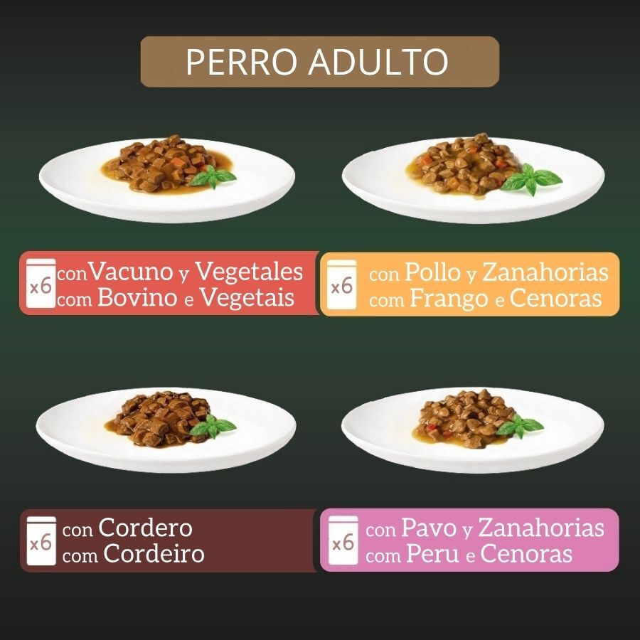 24 x 100 g Milord Adult Receita ao estilo caseiro em molho Saquetas para c&atilde;es - Multipack, , large Imagem n&uacute;mero 3