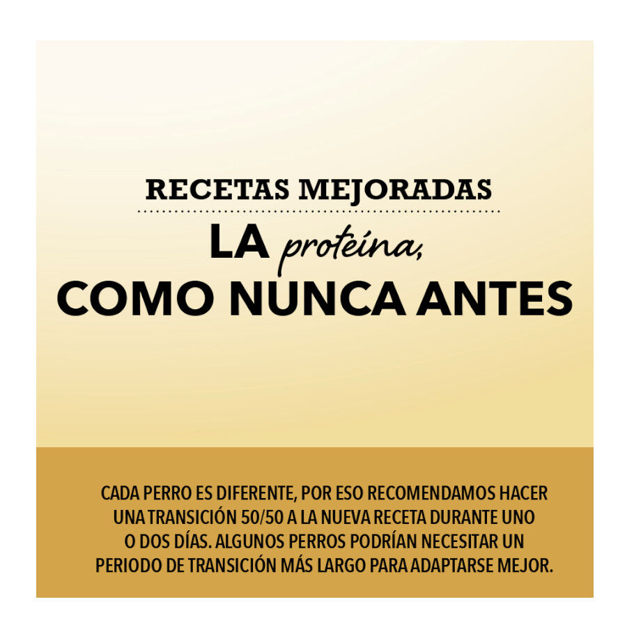 11.4 kg Acana Grasslands Ra&ccedil;&atilde;o para c&atilde;es, , large Imagem n&uacute;mero 3