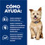 Hill's Prescription Diet Kidney Care Frango lata para cães, , large Indicador imagem número 4