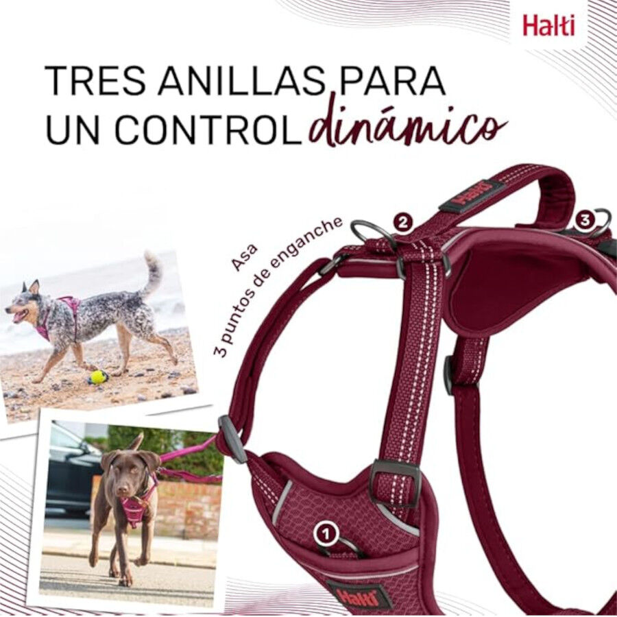 Halti Peitoral Anat&oacute;mico Magenta para c&atilde;es pequenos, , large Imagem n&uacute;mero 4