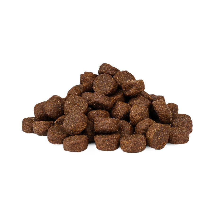 Weego Low Grain Ra&ccedil;&atilde;o de frango e arroz para c&atilde;es, , large Imagem n&uacute;mero 2