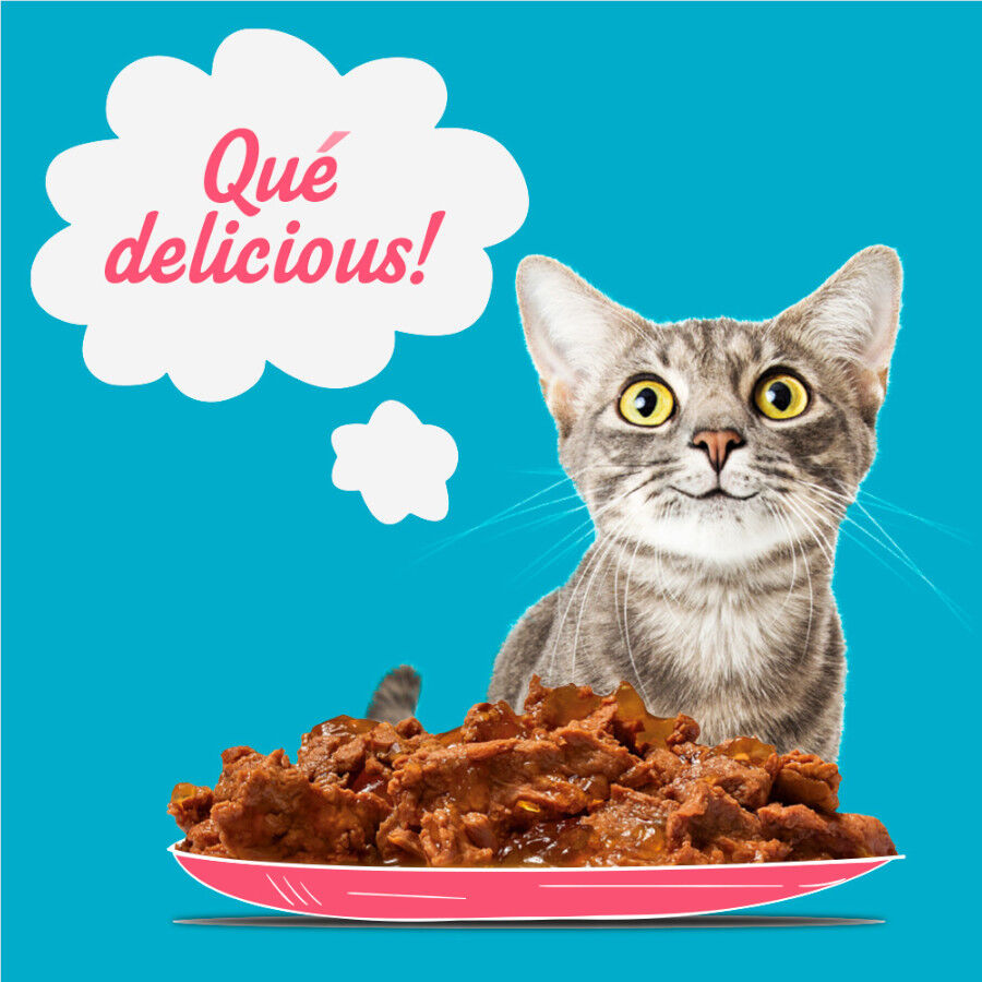 96 saquetas x 100 g Start Cat Alimento h&uacute;mido de carne. frango e peixe em saqueta para gatos , , large Imagem n&uacute;mero 5