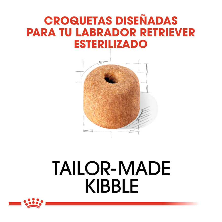 12 kg Royal Canin Adult Labrador Sterilised ra&ccedil;&atilde;o para c&atilde;es, , large Imagem n&uacute;mero 5