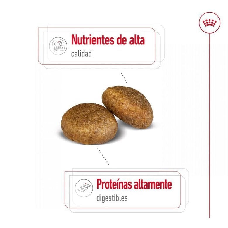 15 kg Royal Canin Maxi Adult ração para cães,  Imagem número 4 15 kg Royal Canin Maxi Adult ração para cães, , large Imagem número 4