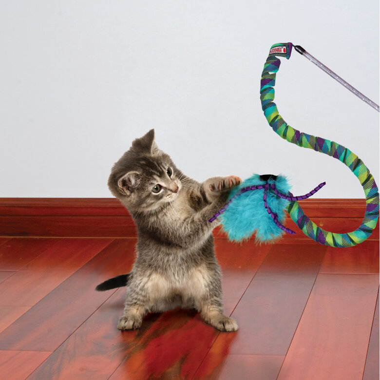 Kong Teaser Curlz Cana com Penas para gatos,  Imagem número 2 Kong Teaser Curlz Cana com Penas para gatos, , large Imagem número 2