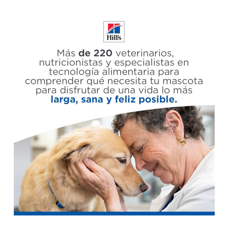 12 kg Hill's Science Plan Healthy Mobility Adult Large Frango ra&ccedil;&atilde;o para c&atilde;es, , large Imagem n&uacute;mero 11